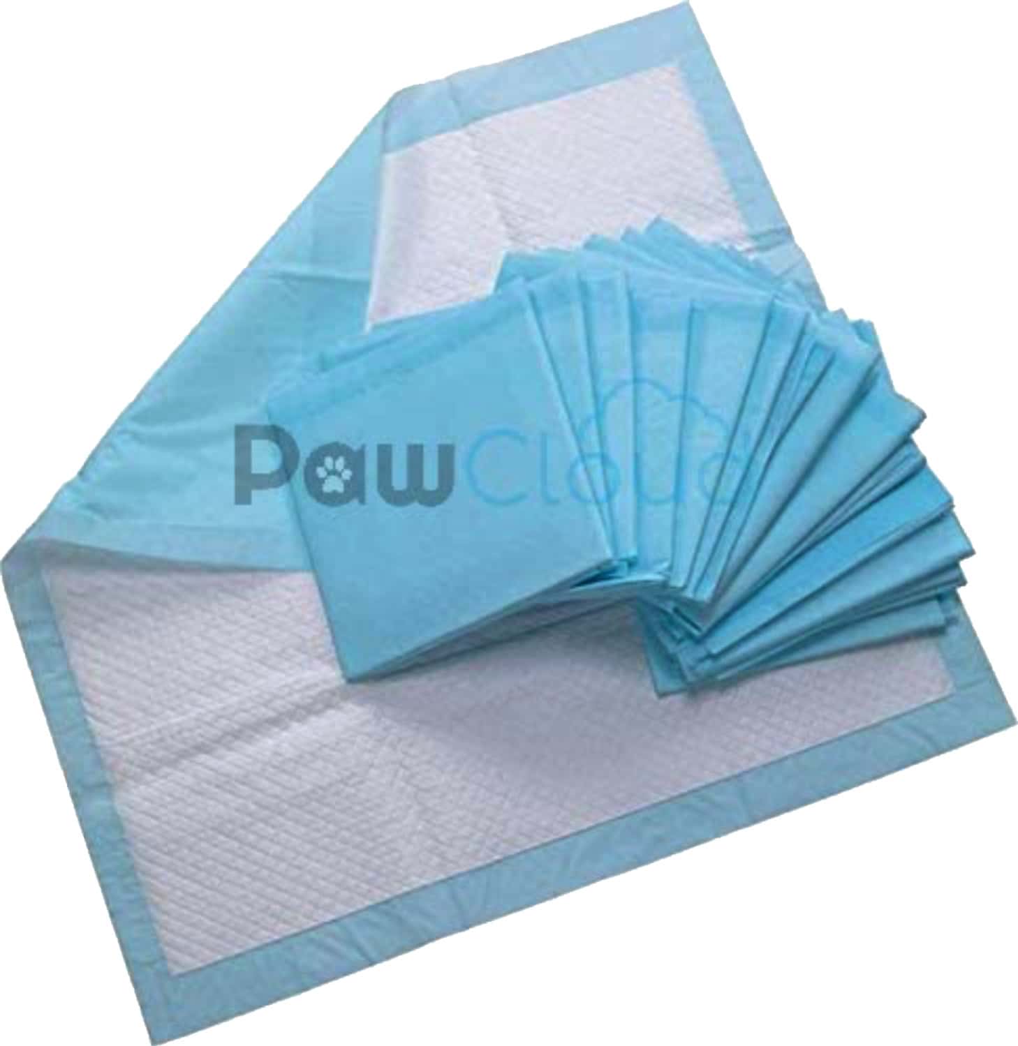 Pawcloud Pet Toilet Training Pad (17.5 X 23.3 Inches) -10 Pads