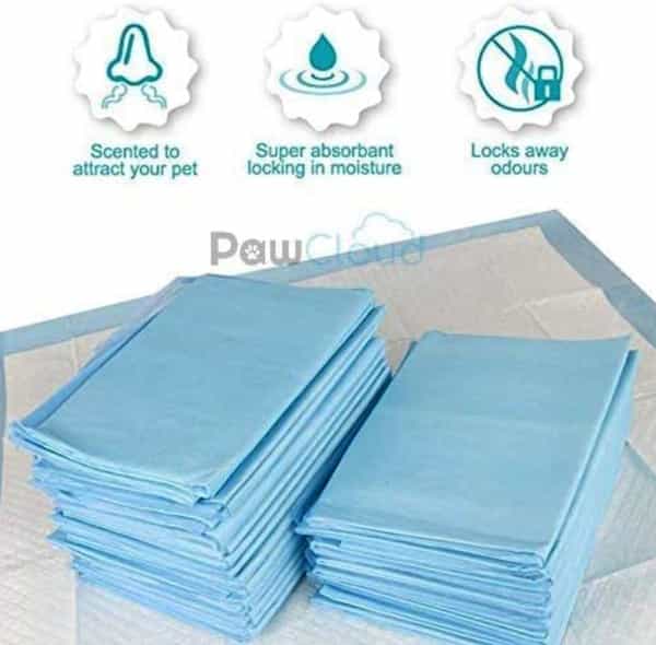 Pawcloud Pet Toilet Training Pad (17.5 X 23.3 Inches) -10 Pads