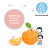 Koparo All Purpose Natural Cleaner Liquid Spray For Bathroom Kitchen And Glass Child Safe 500 Mlx3
