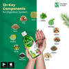 Dr. Willmar Schwabe Dizester Herbal - Digestive Tonic For A Healthy Digestive System - 450Ml