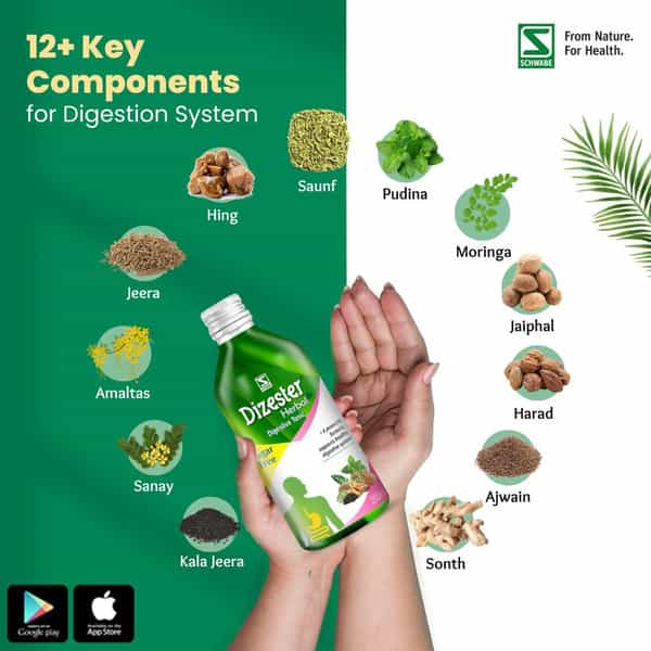 Dr. Willmar Schwabe Dizester Herbal - Digestive Tonic For A Healthy Digestive System - 450Ml