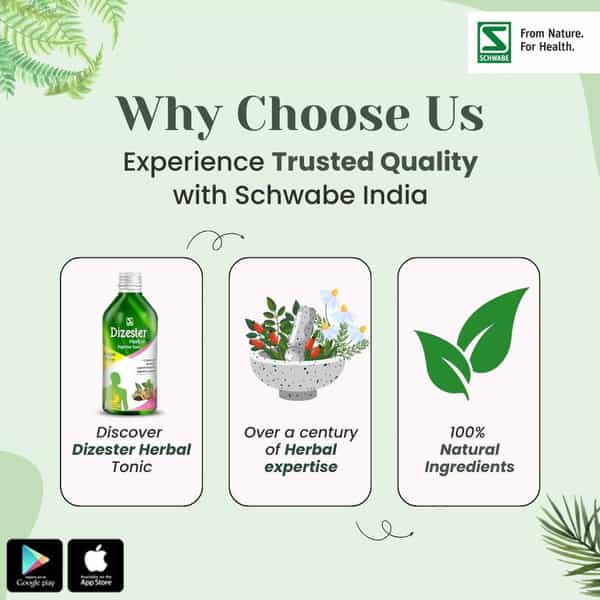 Dr. Willmar Schwabe Dizester Herbal - Digestive Tonic For A Healthy Digestive System - 450Ml