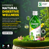 Dr. Willmar Schwabe Dizester Herbal - Digestive Tonic For A Healthy Digestive System - 450Ml