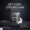 Setu Plant-Based Biotin Boost Powder - 150 G (Pack Of 2) | Healthy Hair, Skin & Nails| Lemon Flavour