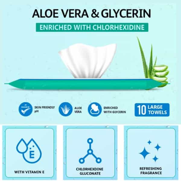 Arokleen Bed Bath Patient Large Wet Wipes Enriched With Aloe Vera And Glycerine 10Pcs Pack Of 1 