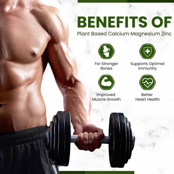 Himalayan Organics Plant Based Calcium Magnesium Zinc D3 & K2 | Whole Food & Natural- 120 Capsules