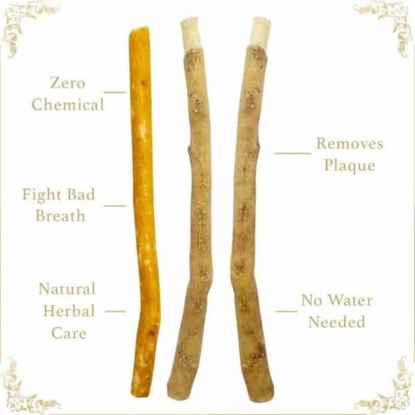 Arka Pure Life Natural Miswak Toothbrush Sticks ( Pack Of 3)