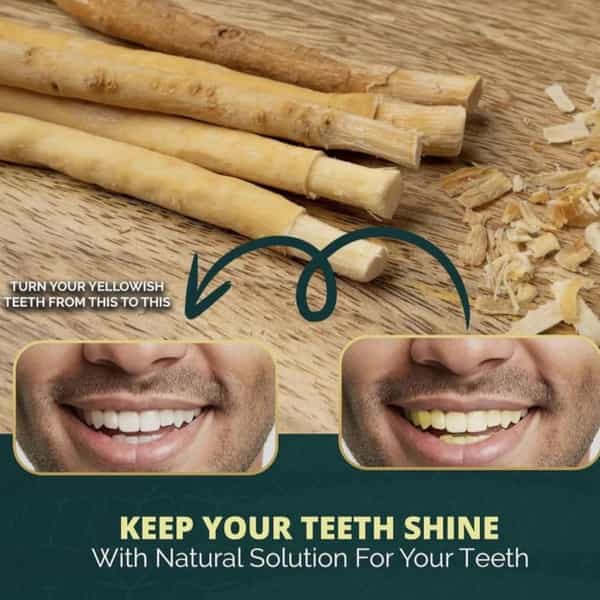 Arka Pure Life Natural Miswak Toothbrush Sticks ( Pack Of 3)