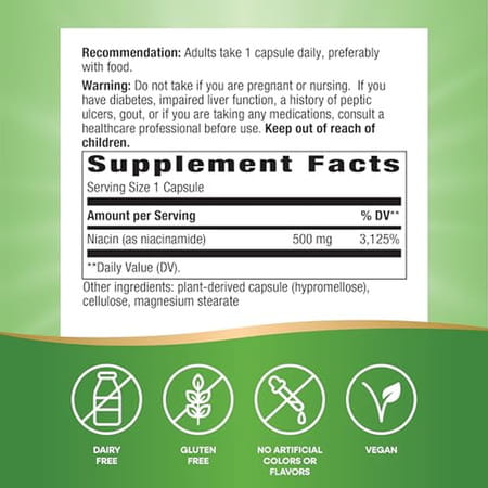 Nature's Way Niacinamide | Supports Cellular Energy* | 500Mg Per Serving | 100 Capsules