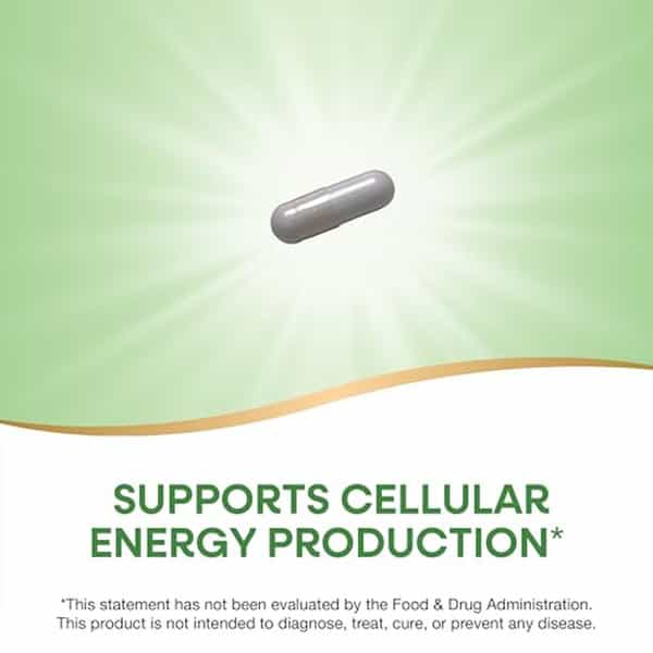 Nature's Way Niacinamide | Supports Cellular Energy* | 500Mg Per Serving | 100 Capsules