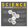Muscleblaze Biozyme Iso-Zero (Ice Cream Choco | 5X33.5g) | Low Carb | 5 Sachets