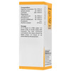 Dr Bakshi's Bakson Homoeopathy B45 Neural Drops 30 Ml