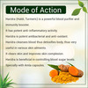 Uma Ayurveda Haridra Capsule Ayurvedic Capsules 60 Caps