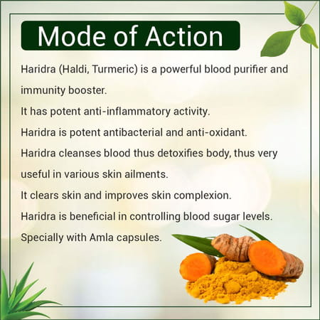 Uma Ayurveda Haridra Capsule Ayurvedic Capsules 60 Caps