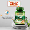 Himalayan Organics Zinc With Vitamin C | 2x Immunity | Bottle | 120 Tablets