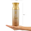 Maryaj Direction East Edp Spicy Perfume 100Ml For Men And Ajmal Wisal Dhahab Deodorant 200Ml For Men