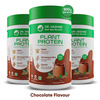 Dr. Vaidya's Plant Protein - Chocolate 500Gm Pack Of 3