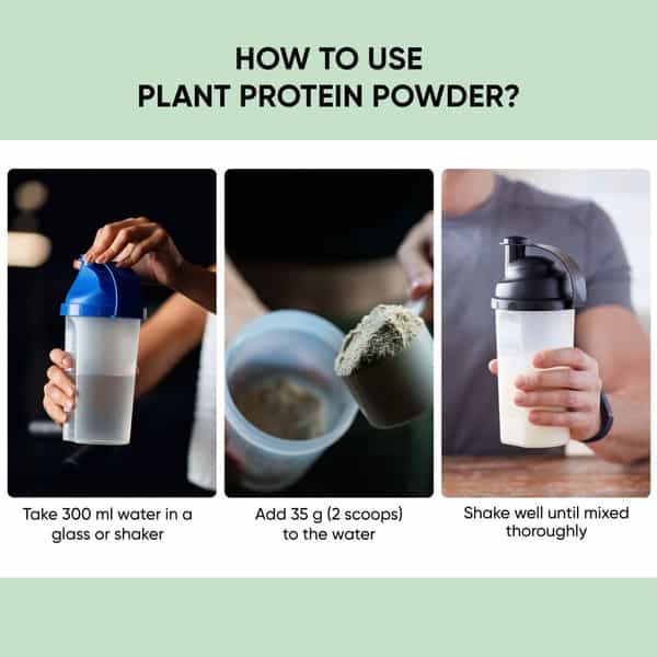 Dr. Vaidya's Plant Protein - Chocolate 500Gm Pack Of 3