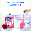 Lizol Disinfectant Floor Cleaner (Floral) - 2L