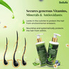 Indalo White Tea Aloe Vera Hair Growth Conditioner For Strengthening & Volumizing Oily Hair - 400Ml