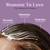 Sulphate Free Shampoo 220 Ml Pack Of 2