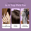 Sulphate Free Shampoo 220 Ml Pack Of 2