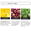 Be Bodywise Redensyl & Onion Hair Oil For Thicker - Stronger Hair (100 Ml)
