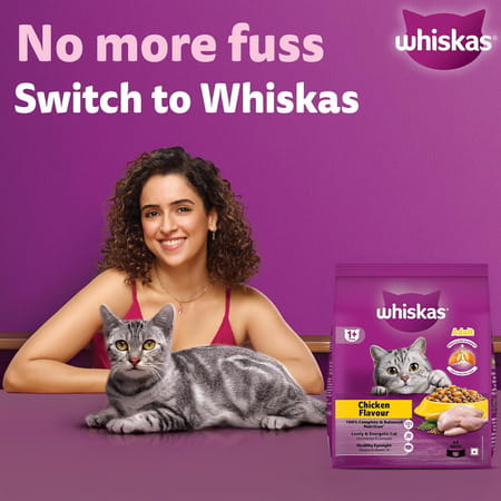 Whiskas Adult (1+ Years) Dry Cat Food | Chicken Flavour | 3 Kg