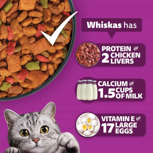 Whiskas Adult (1+ Years) Dry Cat Food | Chicken Flavour | 3 Kg