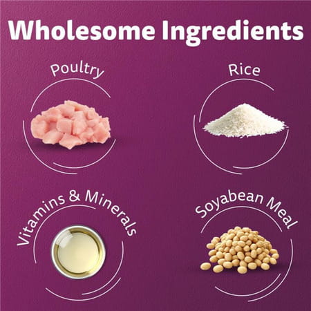 Whiskas Adult (1+ Years) Dry Cat Food | Chicken Flavour | 3 Kg