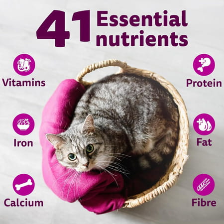 Whiskas Adult (1+ Years) Dry Cat Food | Chicken Flavour | 3 Kg