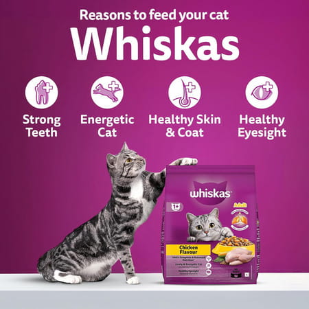 Whiskas Adult (1+ Years) Dry Cat Food | Chicken Flavour | 3 Kg