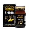 Baidyanath Shilajit Gold - 20 Caps | Enriched With Gold Silver And 17 Natural And Ayurvedic Herbs