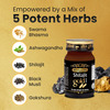 Baidyanath Shilajit Gold - 20 Caps | Enriched With Gold Silver And 17 Natural And Ayurvedic Herbs