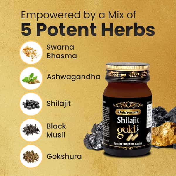 Baidyanath Ayurved Shilajit Gold 20 Caps | Gold | Silver & Herbal Blend