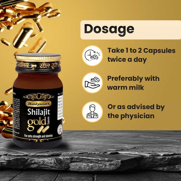 Baidyanath Ayurved Shilajit Gold 20 Caps | Gold | Silver & Herbal Blend