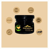 Fij Ayurveda Pure Ayurvedic Raw Shilajit/Shilajit Resin (Semi Liquid) - 40gm (Pack Of 2)