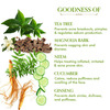 Tac - The Ayurveda Co. Tea Tree Face Serum - 30Ml