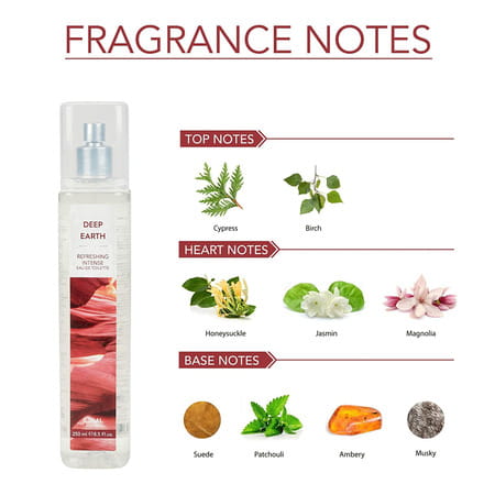 Ajmal Deep Earth Eau De Toilette Woody Perfume 250ml Casual Wear For Men & Women