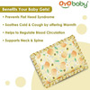 Oyo Baby Mustard Seeds Baby Pillow Pack Of 1 Floral | Nature Rai Pillow Baby Head Shaper - Takiya
