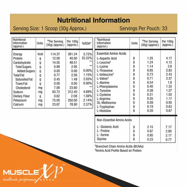 Musclexp Beginner's Protein Double Chocolate 1Kg Pouch (2.2 Lb)