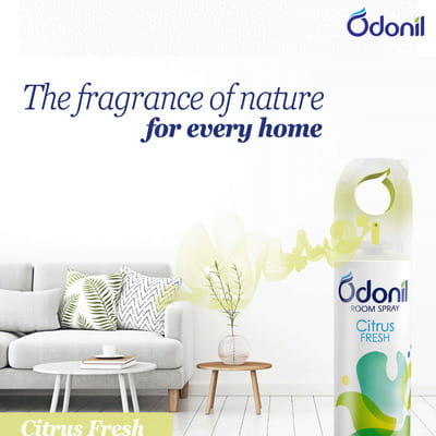 View product image 2