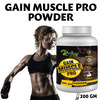 Riffway Gain Muscles Pro Weight Gain Powder (2X200gm)