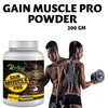Riffway Gain Muscles Pro Weight Gain Powder (2X200gm)