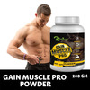 Riffway Gain Muscles Pro Weight Gain Powder (2X200gm)
