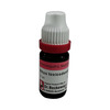 Dr. Reckeweg Rhus Toxicodendron 30 Ch (11Ml)