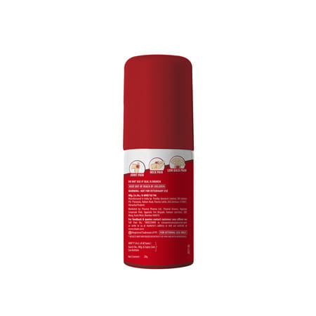 Sloan's Kills Pain Quick Action Long Last Relief- 20gm Pack Of 2 Spray