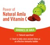 Pediacare Super Immuno Amla And Vitamin C Gummies For Kids Above 2 Years -10 Gummies For Immunity