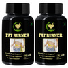 Fij Ayurveda Fat Burner Capsule Helps In Hunger Suppressant - 500mg 60 Capsules (Pack Of 2)