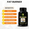 Fij Ayurveda Fat Burner Capsule Helps In Hunger Suppressant - 500mg 60 Capsules (Pack Of 2)